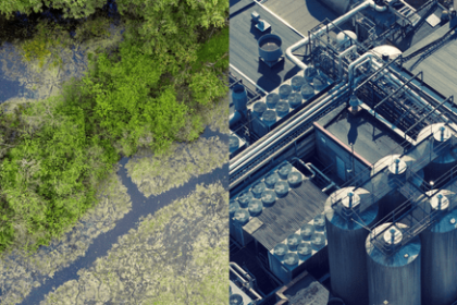 carbon dioxide removal