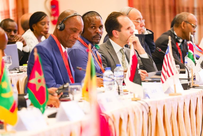 Sahara and Sahel Observatory