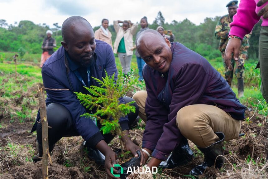 Alliad Kenya Partners With Nature Kenya to Protect Biodiversity and Empower Communities